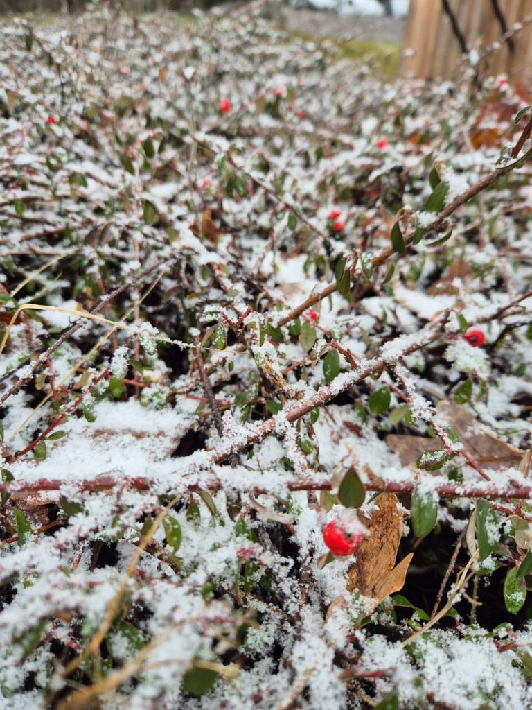 Sous les flocons, le bonheur de partir ensemble !